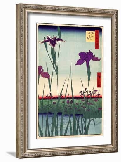 Field of Purple Irises Vintage Japanese Woodblock Print-null-Framed Art Print