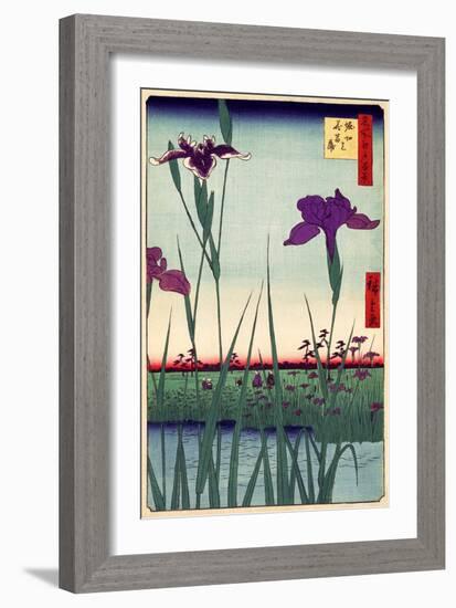 Field of Purple Irises Vintage Japanese Woodblock Print-null-Framed Art Print