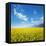 Field of Rapeseed Against Sky-Li Ding-Framed Premier Image Canvas