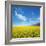 Field of Rapeseed Against Sky-Li Ding-Framed Photographic Print