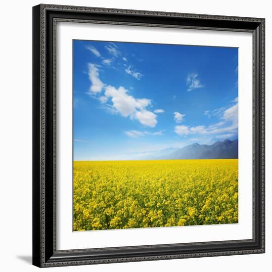 Field of Rapeseed Against Sky-Li Ding-Framed Photographic Print