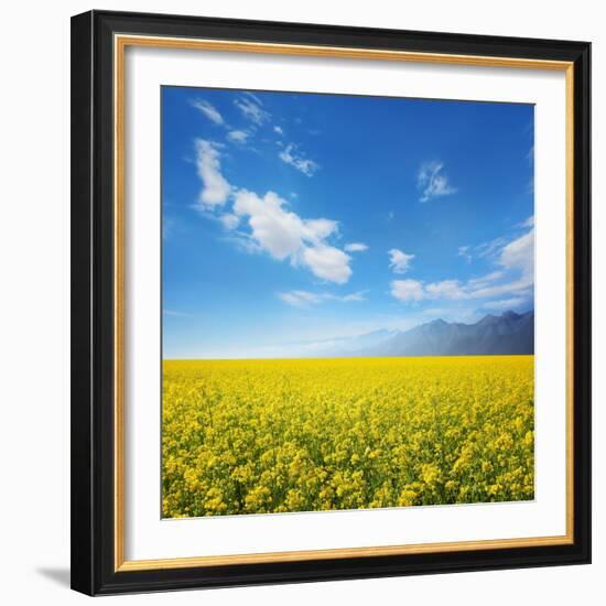 Field of Rapeseed Against Sky-Li Ding-Framed Photographic Print