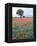 Field of Red and Blue Flowers-Jim Zuckerman-Framed Premier Image Canvas