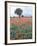 Field of Red and Blue Flowers-Jim Zuckerman-Framed Photographic Print