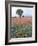 Field of Red and Blue Flowers-Jim Zuckerman-Framed Photographic Print