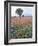 Field of Red and Blue Flowers-Jim Zuckerman-Framed Photographic Print