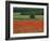 Field of Red Poppies in an Agricultural Landscape Near Sancerre, Cher, Loire Centre, France-Michael Busselle-Framed Photographic Print