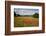 Field of Red Poppies, Near Winchcombe, Cotswolds, Gloucestershire, England, United Kingdom, Europe-Stuart Black-Framed Photographic Print