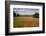 Field of Red Poppies, Near Winchcombe, Cotswolds, Gloucestershire, England, United Kingdom, Europe-Stuart Black-Framed Photographic Print