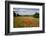 Field of Red Poppies, Near Winchcombe, Cotswolds, Gloucestershire, England, United Kingdom, Europe-Stuart Black-Framed Photographic Print