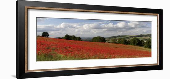 Field of Red Poppies, Near Winchcombe, Cotswolds, Gloucestershire, England, United Kingdom, Europe-Stuart Black-Framed Photographic Print