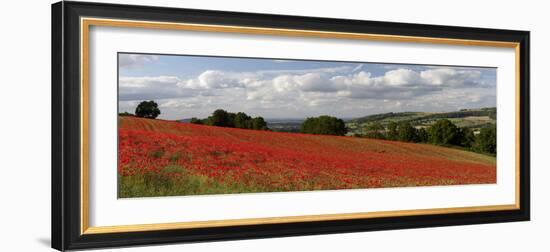 Field of Red Poppies, Near Winchcombe, Cotswolds, Gloucestershire, England, United Kingdom, Europe-Stuart Black-Framed Photographic Print