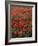 Field of Red Poppies-Adrian Bicker-Framed Photographic Print