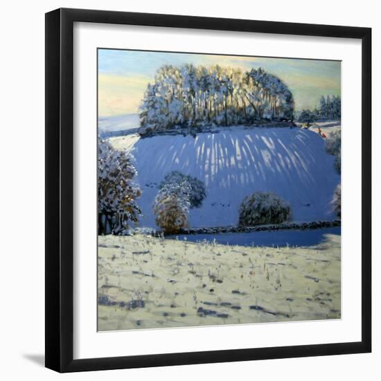Field of Shadows, Near Youlgrave, Derbyshire-Andrew Macara-Framed Giclee Print