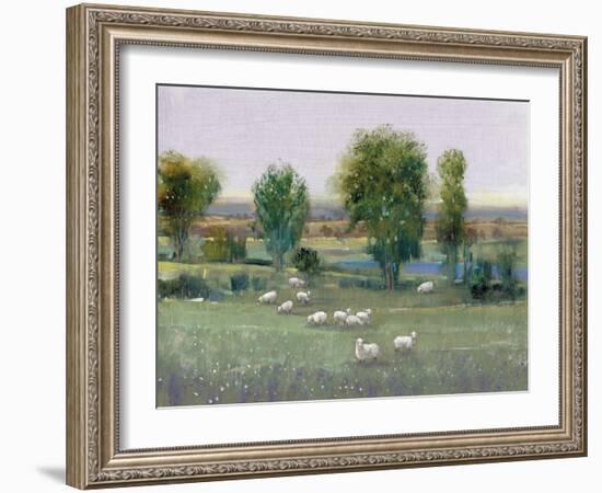 Field of Sheep I-Tim O'toole-Framed Art Print