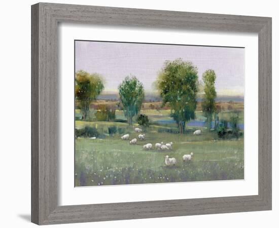 Field of Sheep I-Tim O'toole-Framed Art Print