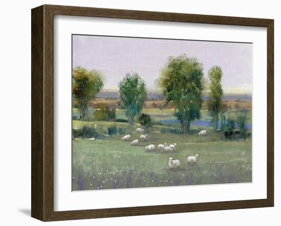 Field of Sheep I-Tim O'toole-Framed Art Print