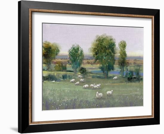 Field of Sheep I-Tim O'toole-Framed Art Print