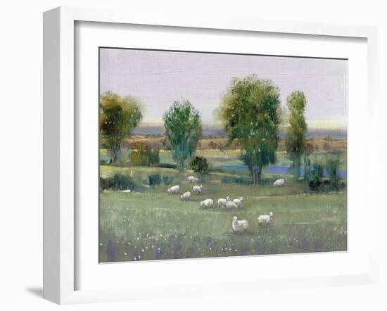 Field of Sheep I-Tim O'toole-Framed Art Print