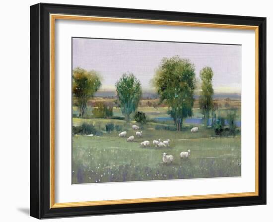 Field of Sheep I-Tim O'toole-Framed Art Print