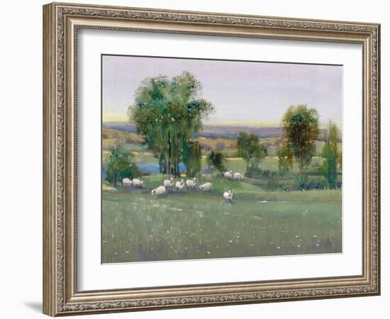 Field of Sheep II-Tim O'toole-Framed Art Print