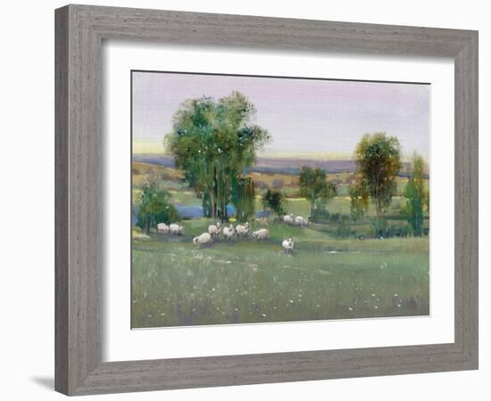 Field of Sheep II-Tim O'toole-Framed Art Print