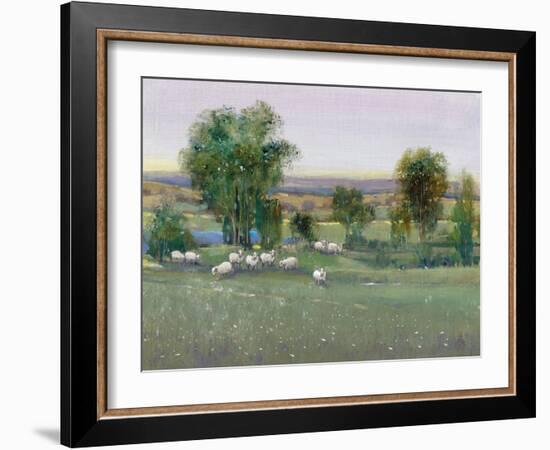 Field of Sheep II-Tim O'toole-Framed Art Print