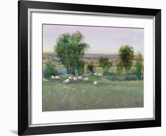 Field of Sheep II-Tim O'toole-Framed Art Print