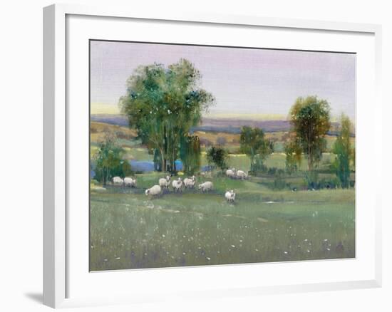 Field of Sheep II-Tim O'toole-Framed Art Print