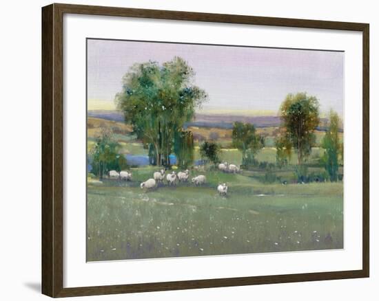 Field of Sheep II-Tim O'toole-Framed Art Print