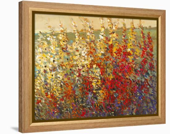 Field of Spring Flowers I-Tim O'toole-Framed Stretched Canvas