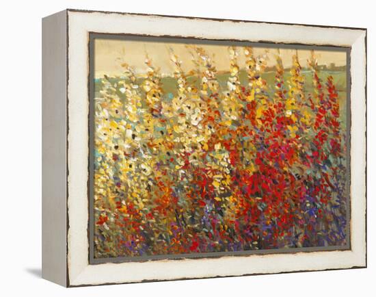 Field of Spring Flowers I-Tim O'toole-Framed Stretched Canvas