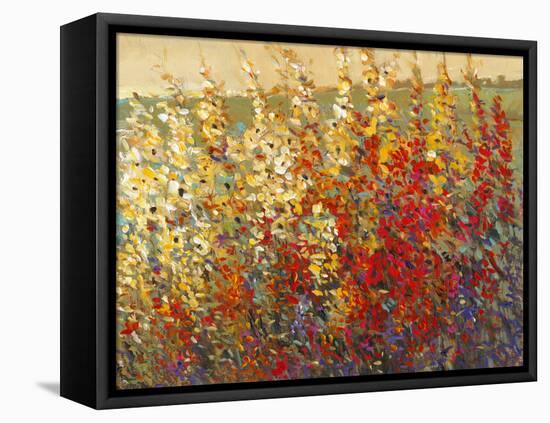 Field of Spring Flowers I-Tim O'toole-Framed Stretched Canvas