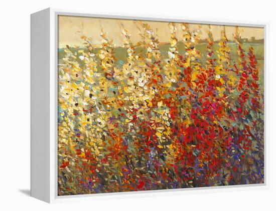 Field of Spring Flowers I-Tim O'toole-Framed Stretched Canvas