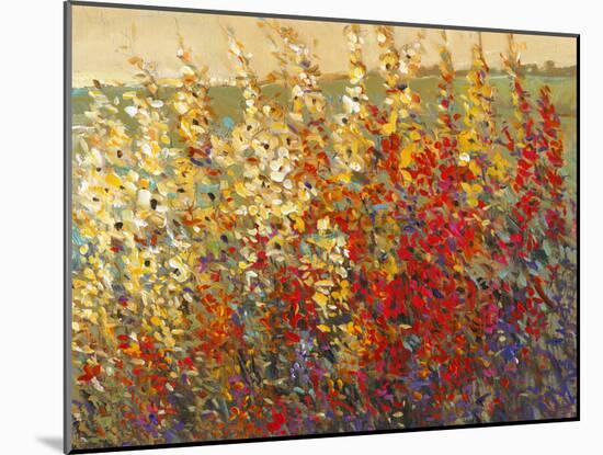 Field of Spring Flowers I-Tim O'toole-Mounted Art Print