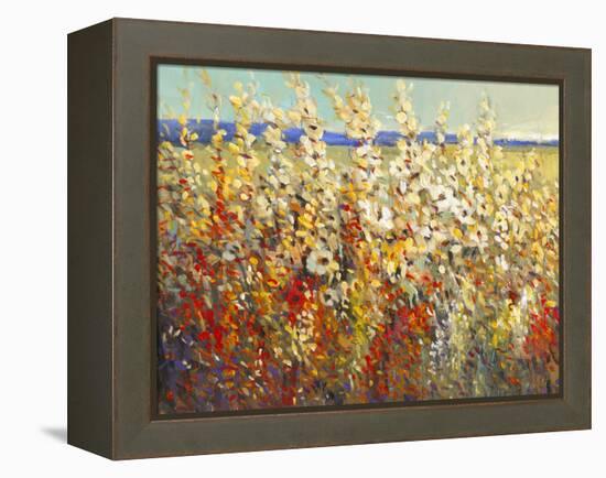 Field of Spring Flowers II-Tim O'toole-Framed Stretched Canvas