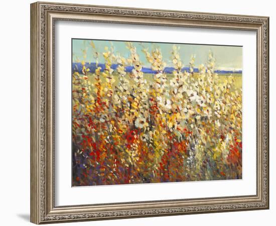 Field of Spring Flowers II-Tim O'toole-Framed Art Print