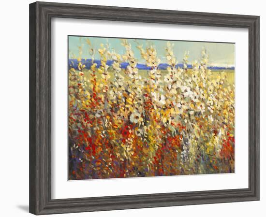 Field of Spring Flowers II-Tim O'toole-Framed Art Print