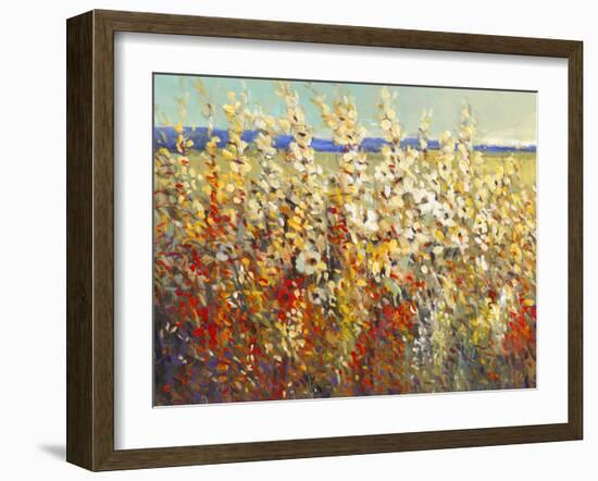 Field of Spring Flowers II-Tim O'toole-Framed Art Print