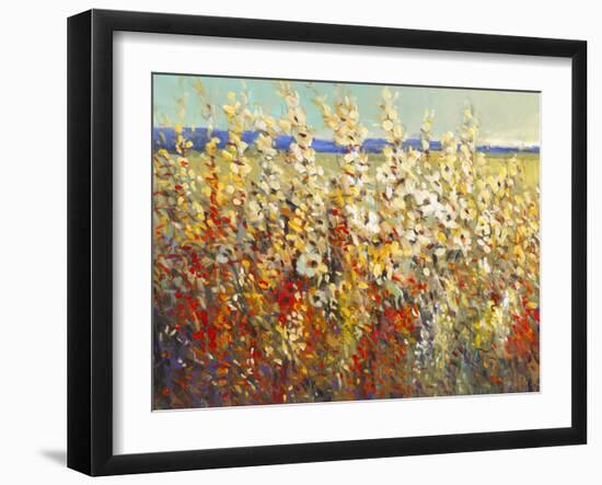 Field of Spring Flowers II-Tim O'toole-Framed Art Print