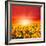 Field of Sunflowers and Sun in the Blue Sky.-Ale-ks-Framed Photographic Print