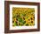 Field of Sunflowers, Frankfort, Kentucky, USA-Adam Jones-Framed Photographic Print