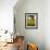 Field of Sunflowers in Full Bloom, Languedoc, France, Europe-Martin Child-Framed Photographic Print displayed on a wall