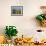 Field of Sunflowers in Summer, Near Ronda, Andalucia, Spain-Ruth Tomlinson-Framed Photographic Print displayed on a wall