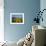 Field of Sunflowers in Summer, Near Ronda, Andalucia, Spain-Ruth Tomlinson-Framed Photographic Print displayed on a wall