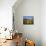 Field of Sunflowers in Summer, Near Ronda, Andalucia, Spain-Ruth Tomlinson-Mounted Photographic Print displayed on a wall