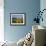 Field of Sunflowers in Summer, Near Ronda, Andalucia, Spain-Ruth Tomlinson-Framed Photographic Print displayed on a wall