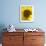 Field of Sunflowers, Languedoc, France, Europe-Martin Child-Framed Photographic Print displayed on a wall