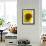 Field of Sunflowers, Languedoc, France, Europe-Martin Child-Framed Photographic Print displayed on a wall