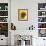 Field of Sunflowers, Languedoc, France, Europe-Martin Child-Framed Photographic Print displayed on a wall